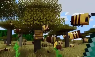 Get Free Minecraft Skins And Maps Every Day This Month
