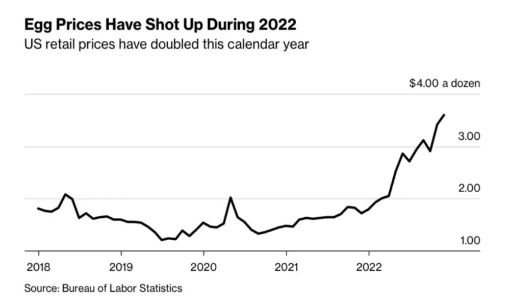 Bird Flu Impacts And Production Costs
