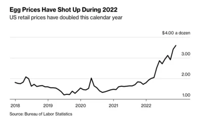 Bird Flu Impacts And Production Costs