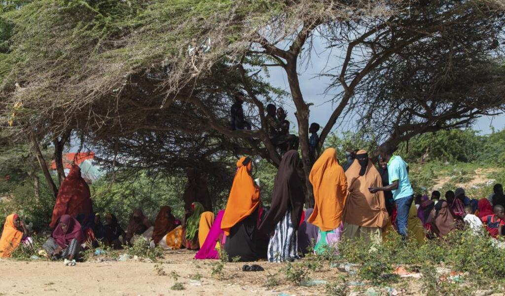 UN Issues Record Emergency Funding Appeal Of $51.5 Bln For Next Year