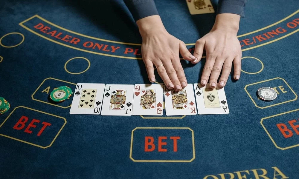 Understanding Live Casinos