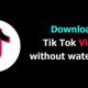 TikTok Video Downloader
