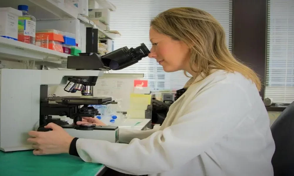 What Health Conditions Can Be Improved with Stem Cell Transplant?