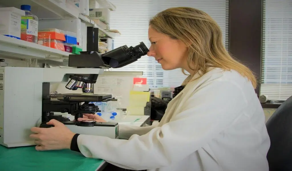 What Health Conditions Can Be Improved with Stem Cell Transplant?