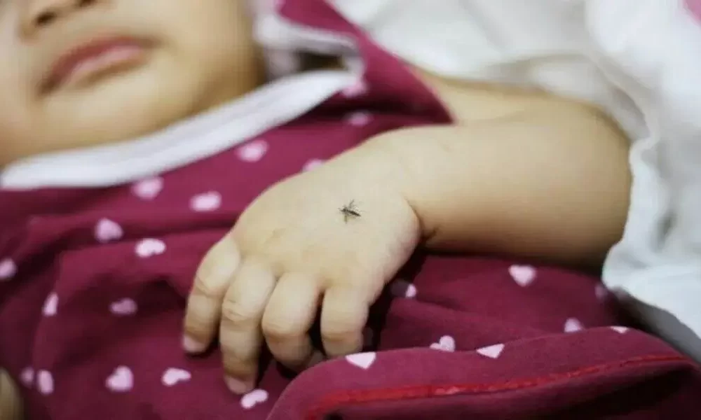 EXPOSURE TO ZIKA VIRUS MAY ALTER BRAIN AGE AS 'CHILDREN GET OLDER'