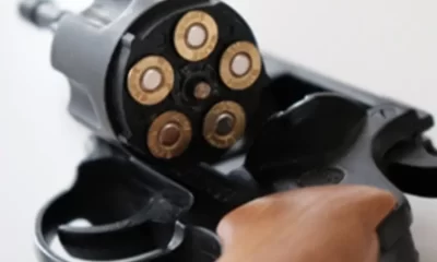 The Pros & Cons of 5.56 Ballistic Tip Ammo For Deer Hunting