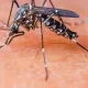 Malaria Infection Can Be Reduced With New mRNA Vaccines