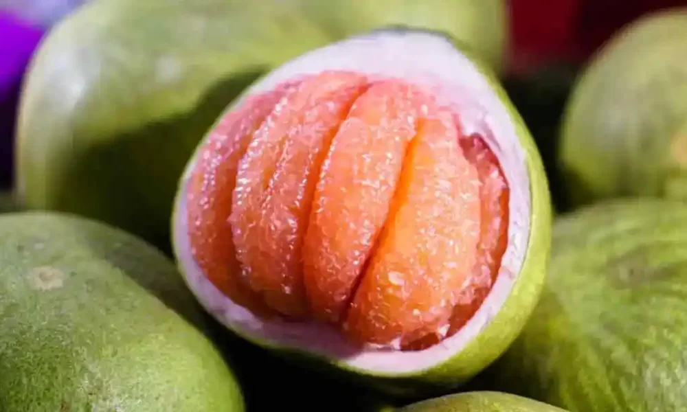 Pomelo: Grapefruit's Cousin