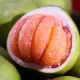 Pomelo: Grapefruit's Cousin