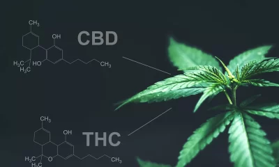 CBD Broad Spectrum
