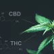 CBD Broad Spectrum