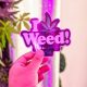 Bangkok Cracks Down on Cannabis Vendors, 6 Arrested, Top 4 Weed Strains