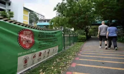 Dengue Cases In 2022 Likely To Be Second Highest Ever