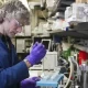 An Ovarian Cancer Genetic Test May Aid In Treatment