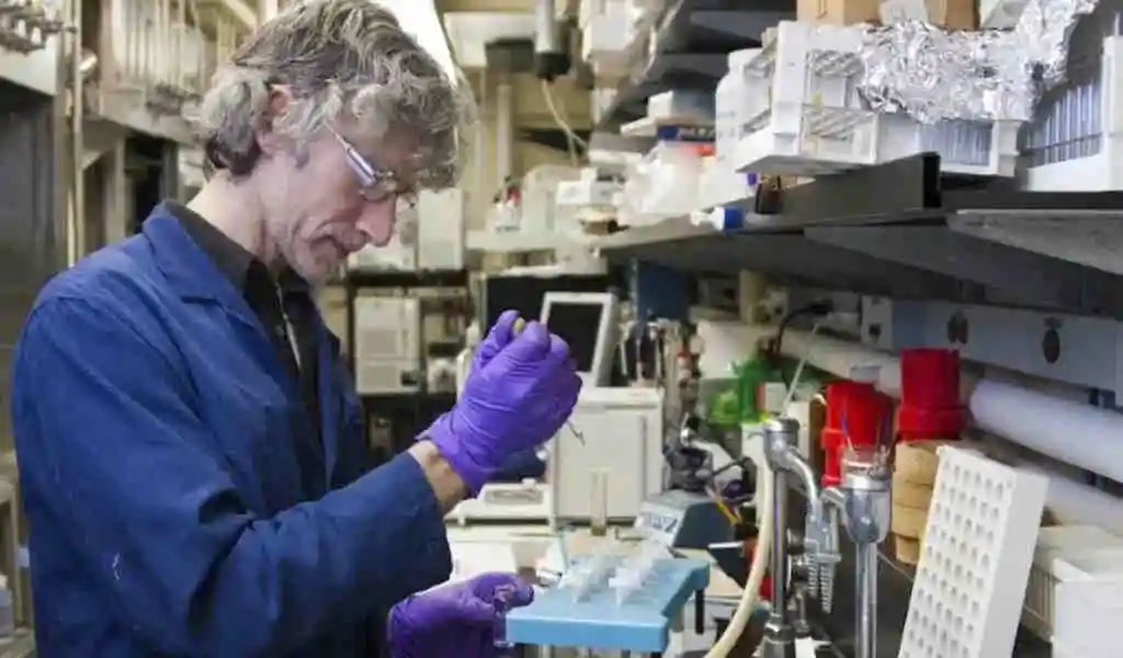 An Ovarian Cancer Genetic Test May Aid In Treatment
