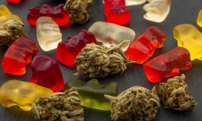 As Cannabis Legalization Expands, Young Kids Are Getting Sick From Edibles