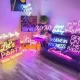 Why Echo Neon is The Best - Neon Brand Review