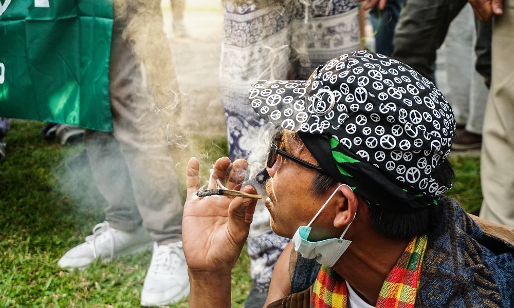 Cannabis Use Surge in Thailand