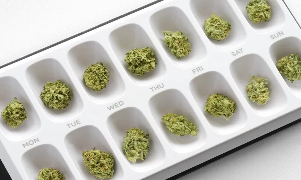 How to Start Microdosing Cannabis