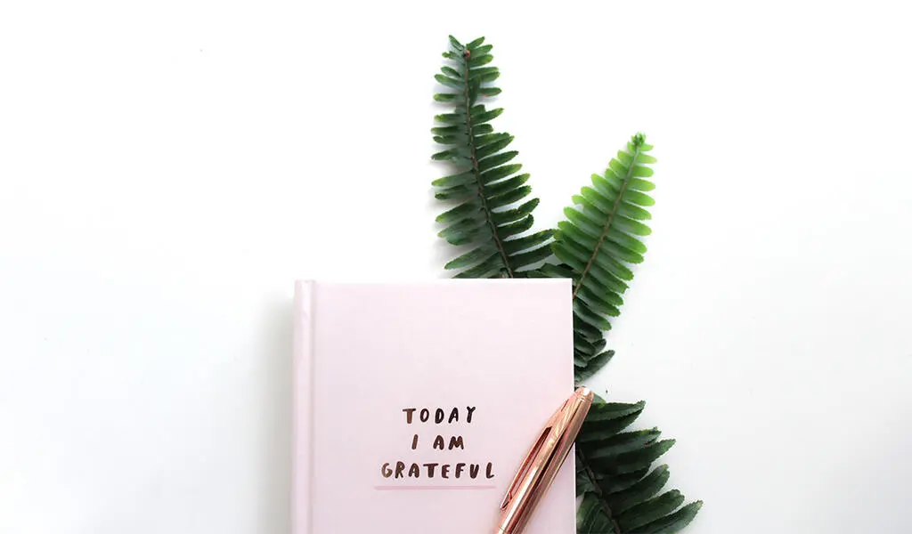 Stress Can Be Reduced With Gratitude: Study