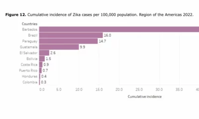 The Zika Virus Continues To Spread In The U.S.