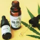 Things To Do When You Find CBD Hemp For Sale