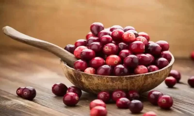 Lip Gloss With Cranberry Proanthocyanidins