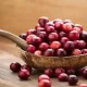 Lip Gloss With Cranberry Proanthocyanidins
