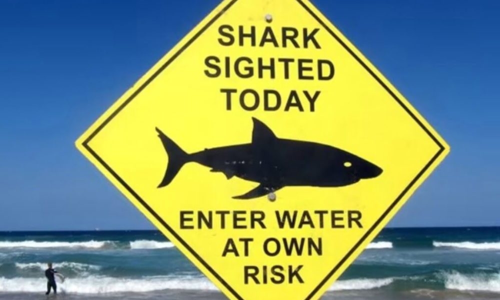 16-Year-Old Girl Killed in Shark Attack in Western Australia