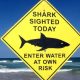 16-Year-Old Girl Killed in Shark Attack in Western Australia