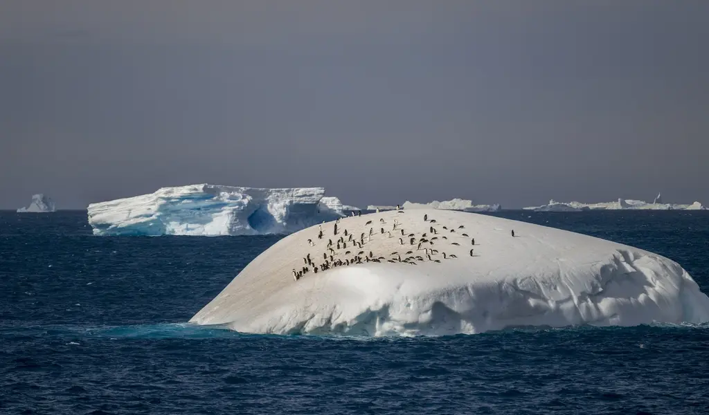 Antarctic Sea-Ice Hits New Record Low Levels Of Melting