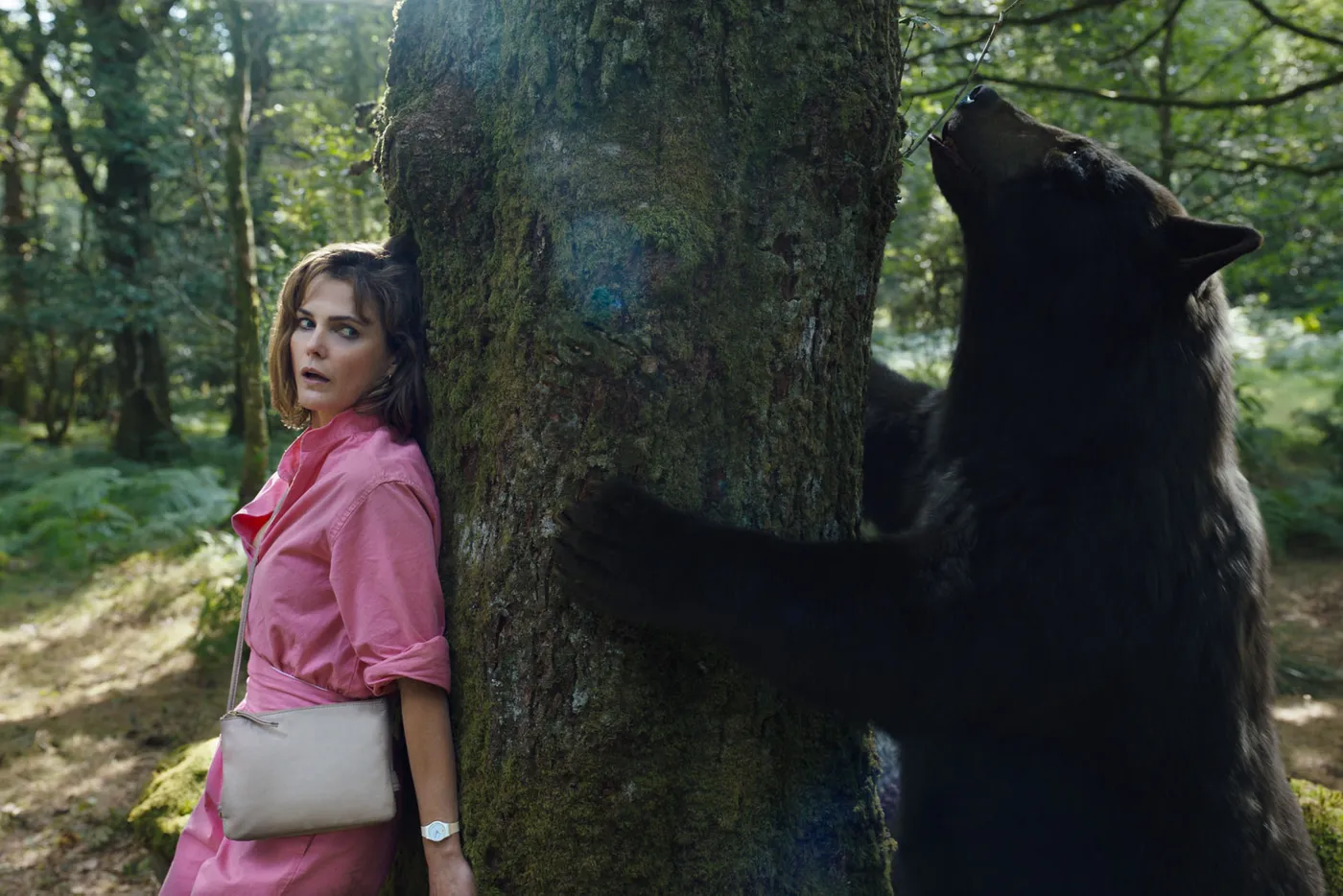 Cocaine Bear