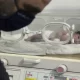 Syria: Gunmen attack hospital where newborn was saved from earthquake