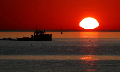 Gulf of Maine Recorded Its 2nd Warmest Year Ever in 2022