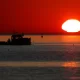 Gulf of Maine Recorded Its 2nd Warmest Year Ever in 2022