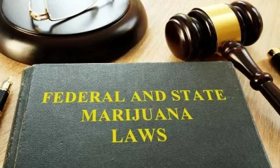 The 2023 U.S. Cannabis Policy Reform Horizon
