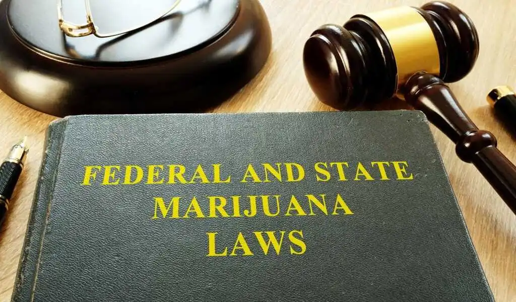 The 2023 U.S. Cannabis Policy Reform Horizon