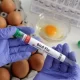 WHO Warns of Potential Bird Flu Pandemic Should Humanity Be Concerned