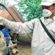 H5N1 Bird Flu Has Killed a Young Girl In Cambodia