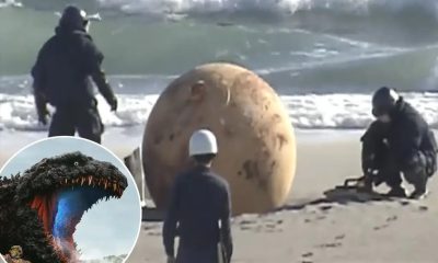Japan Perplexed Over Sphere