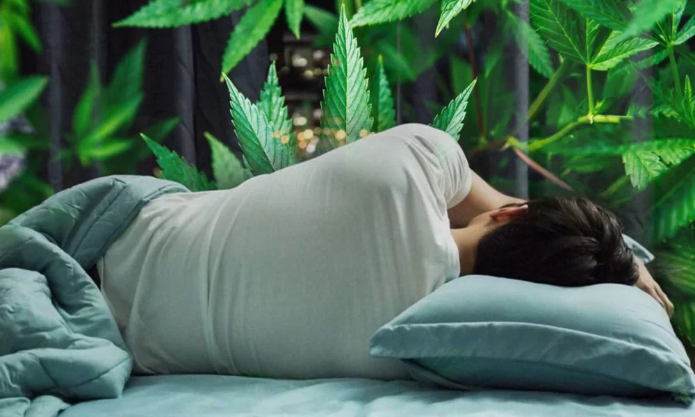 Can Cannabis Help With Sleep What Experts Say and Precautions to Consider