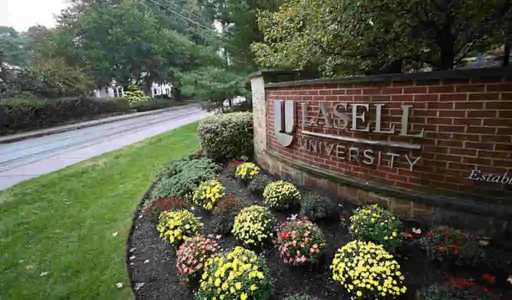 A Lasell University Student Stole $500,000, Used It To Buy a Tesla And Go To Hawaii