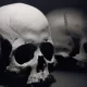 Europeans Found Refuge In Spain During The Ice Age