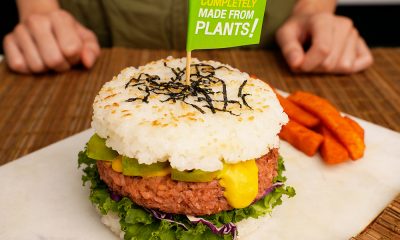 plant-based proteins