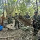 Thailand Sentences Poachers to Prison for Killing Endangered Tigers in National Park