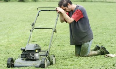 Common Lawn Problems
