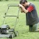 Common Lawn Problems