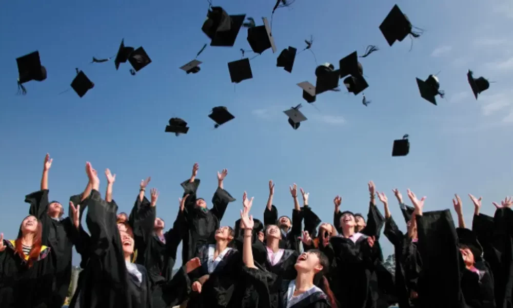 Higher Education