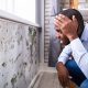 The Benefits of Mould Inspection