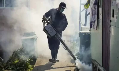 Dengue And Chikungunya Epidemics Spurred By Climate Change: WHO